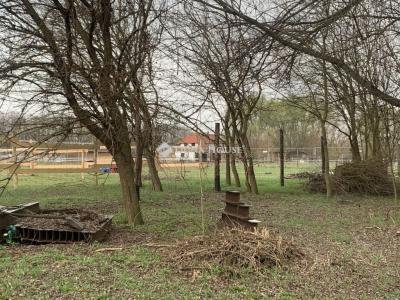 Eladó külterületi telek Őrbottyán