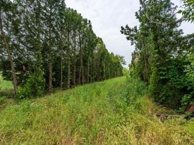 Eladó egyéb ipari ingatlan Kiskunlacháza