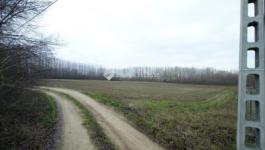 Eladó külterületi telek Pilis