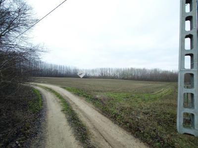 Eladó külterületi telek Pilis