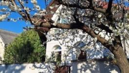 Eladó családi ház Budapest