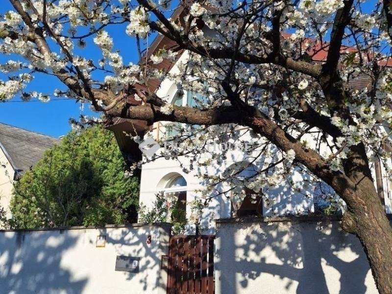 Eladó családi ház Budapest