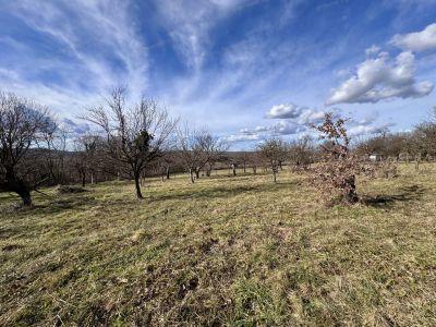 Eladó lakóövezeti telek Zalaegerszeg