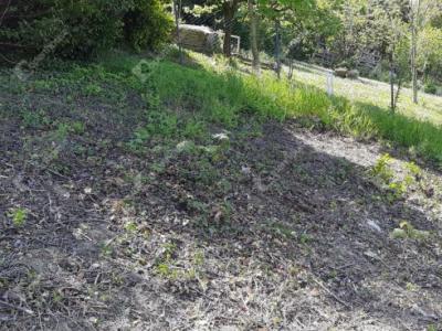 Eladó lakóövezeti telek Zalaegerszeg