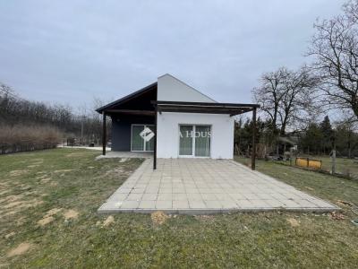 Eladó családi ház Őrbottyán