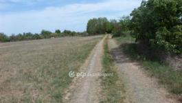 Eladó külterületi telek Kecskemét