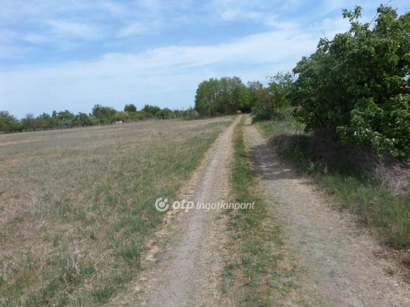Eladó külterületi telek Kecskemét