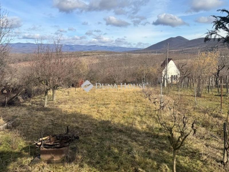 Eladó külterületi telek Eger