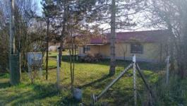 Eladó mezőgazdasági Nagytőke