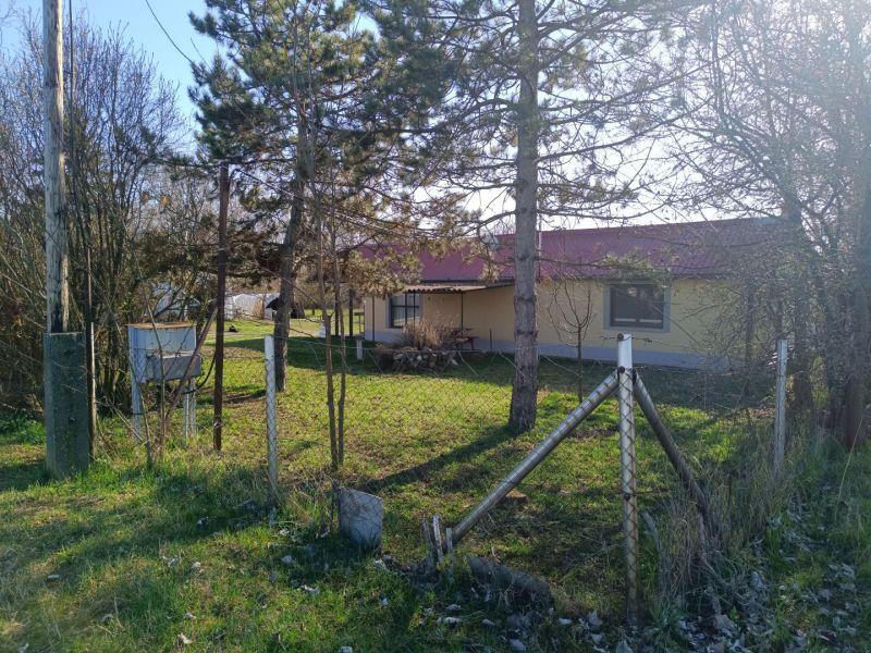 Eladó mezőgazdasági Nagytőke