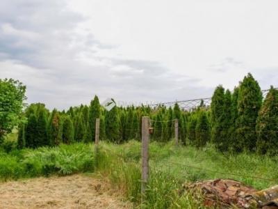 Eladó családi ház Szeged