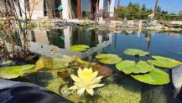 Eladó ikerház Solymár