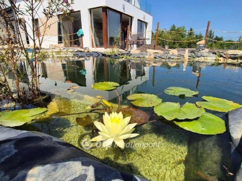 Eladó ikerház Solymár