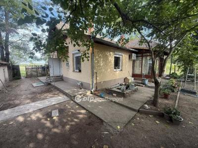 Eladó tanya Tiszakécske