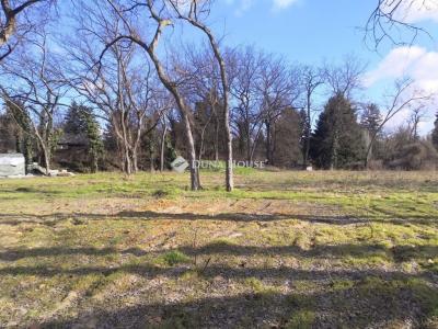 Eladó lakóövezeti telek Szigetmonostor