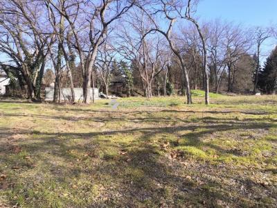 Eladó lakóövezeti telek Szigetmonostor