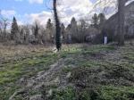 Eladó lakóövezeti telek Szigetmonostor