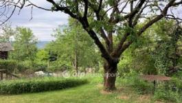 Eladó nyaraló Solymár