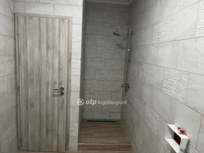 Eladó ikerház Albertirsa