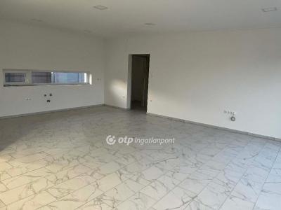 Eladó ikerház Albertirsa