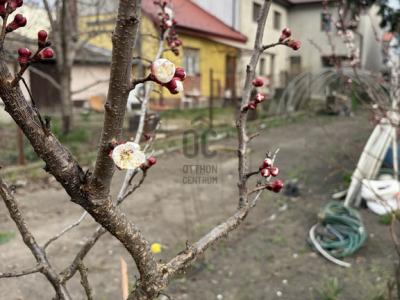 Eladó családi ház Budapest