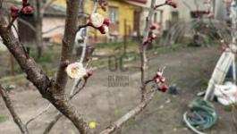 Eladó családi ház Budapest