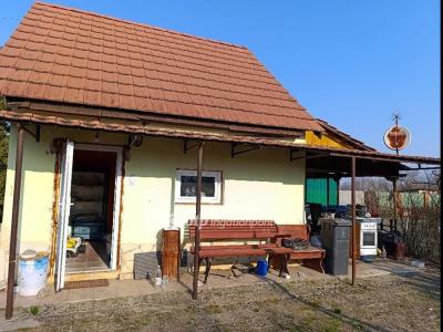 Eladó családi ház Zsombó