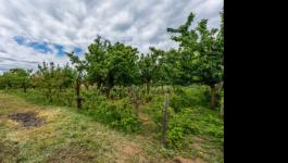 Eladó családi ház Úri