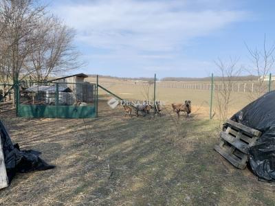 Eladó családi ház Őrbottyán