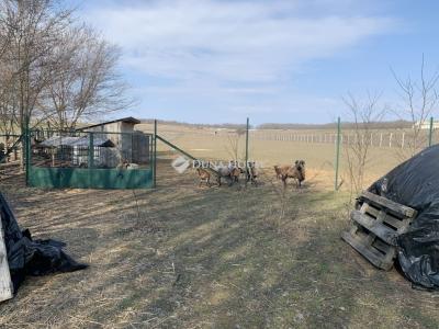 Eladó családi ház Őrbottyán