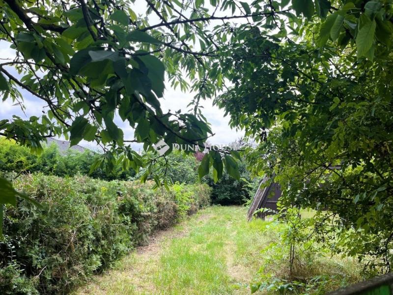 Eladó családi ház Délegyháza