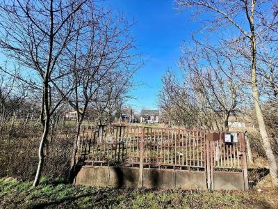 Eladó tanya Berettyóújfalu