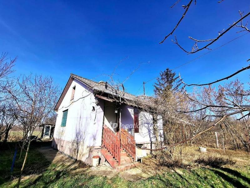 Eladó tanya Berettyóújfalu