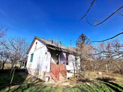 Eladó tanya Berettyóújfalu