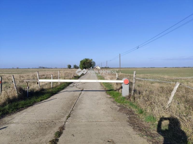 Eladó családi ház Földes