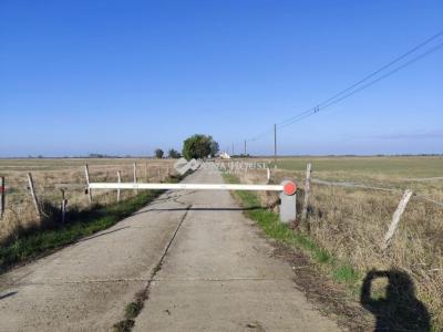 Eladó családi ház Földes