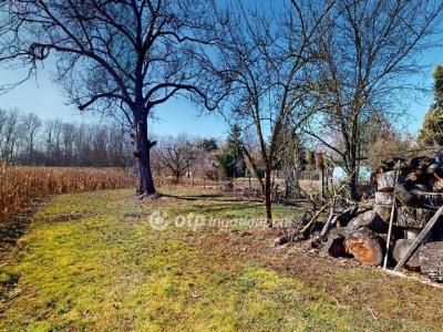 Eladó családi ház Vásárosnamény