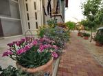 Eladó családi ház Gyula