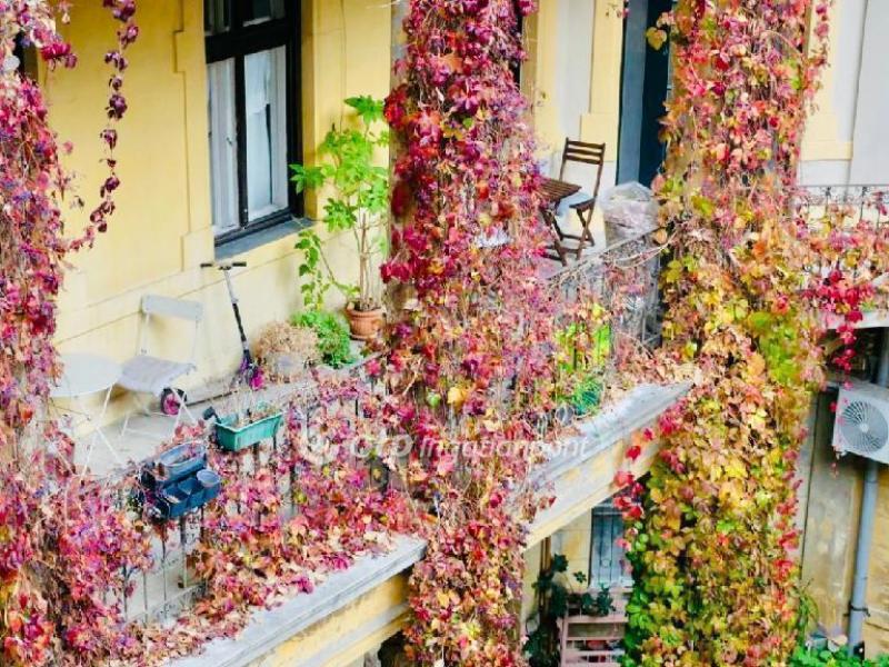 Eladó lakás Budapest