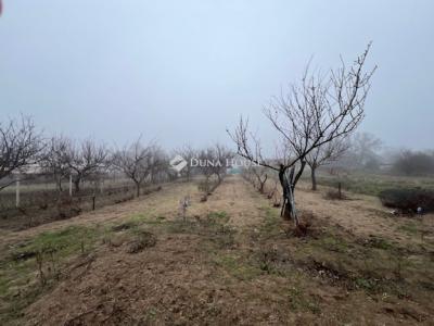 Eladó családi ház Pilis