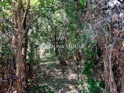 Eladó családi ház Pécel