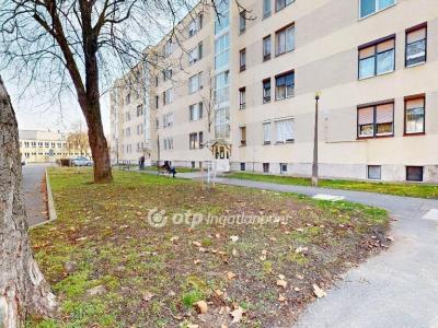 Eladó lakás Tiszaújváros