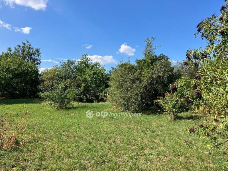 Eladó lakóövezeti telek Csömör