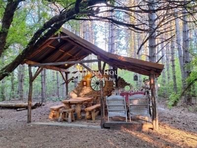 Eladó tanya Kecskemét