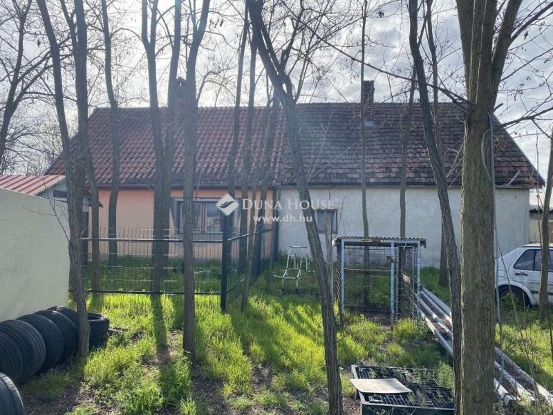 Eladó tanya Kecskemét