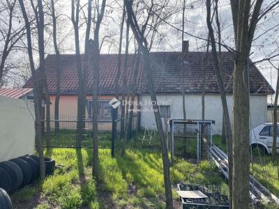 Eladó tanya Kecskemét