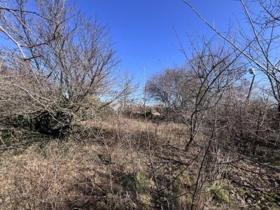 Eladó családi ház Budapest