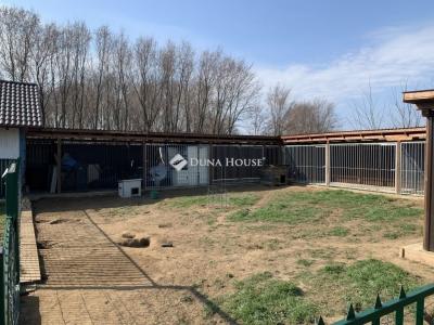 Eladó családi ház Őrbottyán