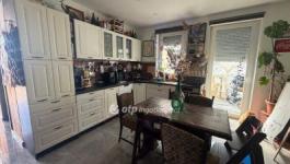 Eladó ikerház Délegyháza