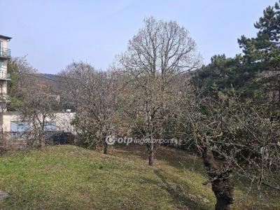 Eladó családi ház Budapest